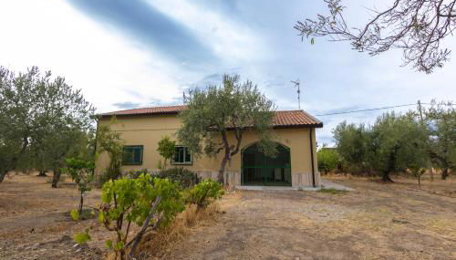 BasicNature - Foto 1, Garden