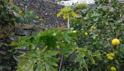 Apartamento Puerto Estaca 1 - Foto 4