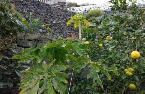 Apartamento Puerto Estaca 1 - Foto 4