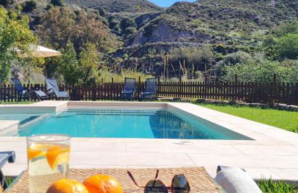 Tropical Studio - Foto 7