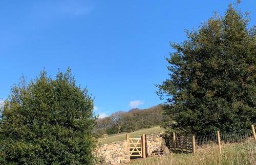 Heather Lea - Foto 15