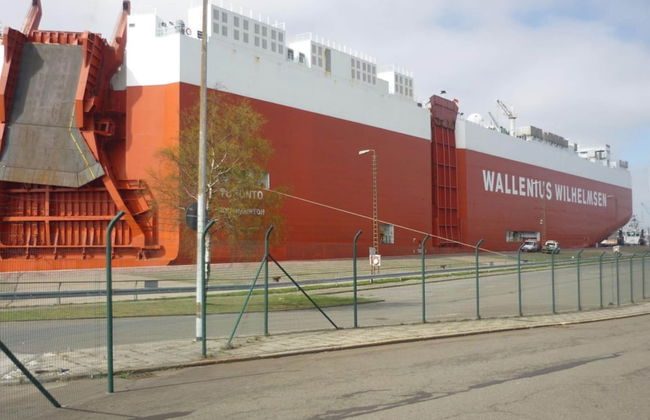 North Sea Holiday House Wellmeyer - Photo 22