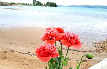 House GITA - Photo 1