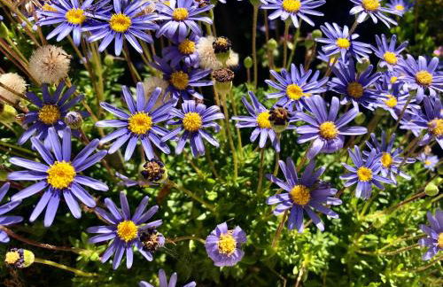 Casa Girassol - Foto 24