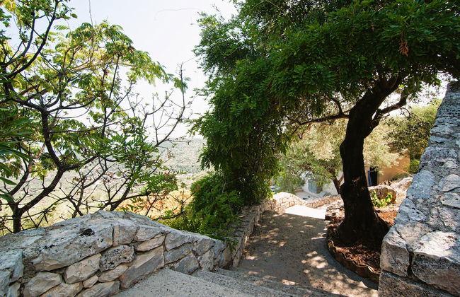 Villa Kounouvato Ithaca - Photo 44