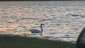 Cozy Cottage-hot tub-scenic views & private dock - Photo 4