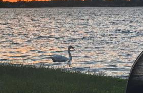 Cozy Cottage-hot tub-scenic views & private dock - Foto 4