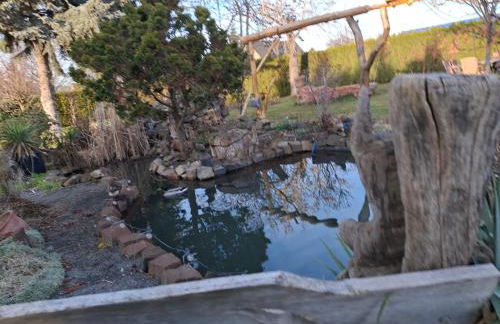 Pension Ronnys wilde Wiese - Foto 11