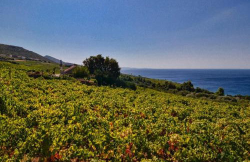 Holiday Home Biserka - Photo 25