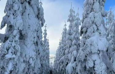 Haus Annemiek met balkon - Photo 64