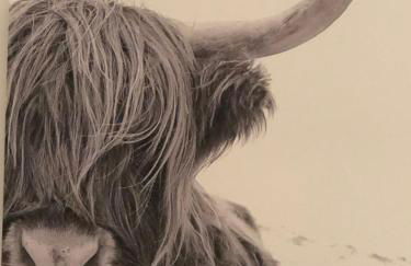 BEe HOME - Urlaubs und Business Loft - Foto 25