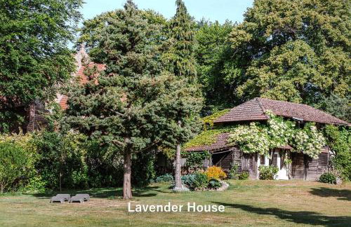 Lavender House - Foto 25