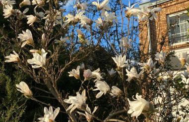 Apartament MARIA z ogródkiem i parkingiem - Foto 3