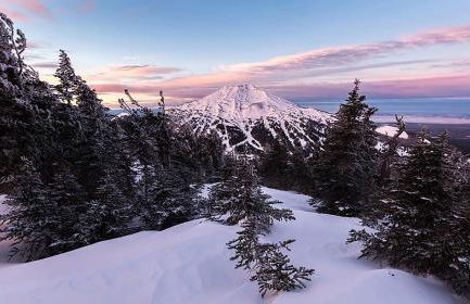 Walk to Everything Bikes AC Dog Friendly - Foto 24