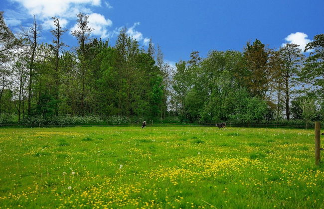 Apartment in Baflo Near Seal Center - Photo 30