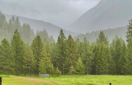 Jocko River Retreat - A Nature Lovers Dream - Foto 44