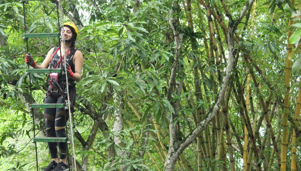 Zip-line, Suspension Bridge + Abseiling in Útica - Foto 3