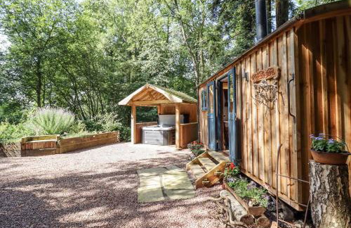 Tanglewood Shepherds Hut - Foto 17