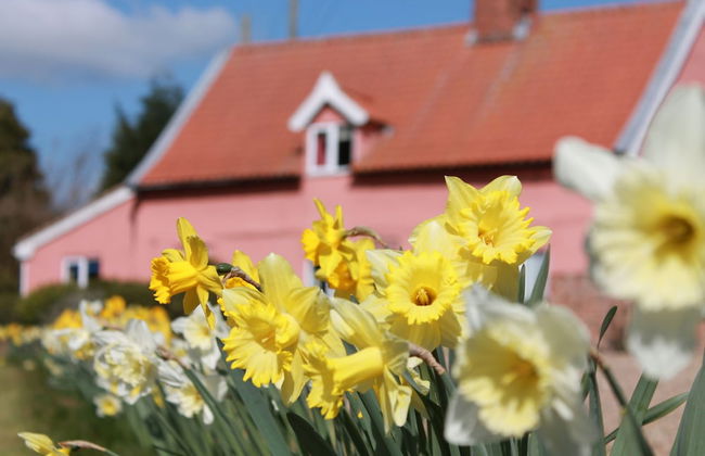 Colston Hall Cottages - Foto 57