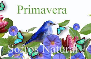 Slow House y La cabaña de Miss Slower - Foto 15