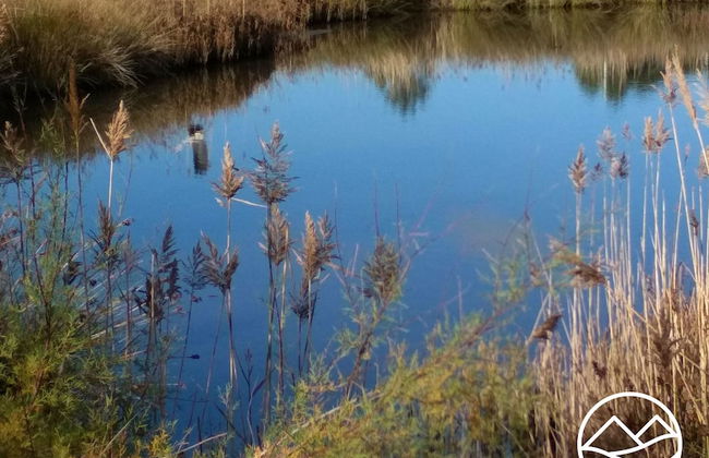 Casa de Verdes - In Cabana de Bergantinos - Photo 137