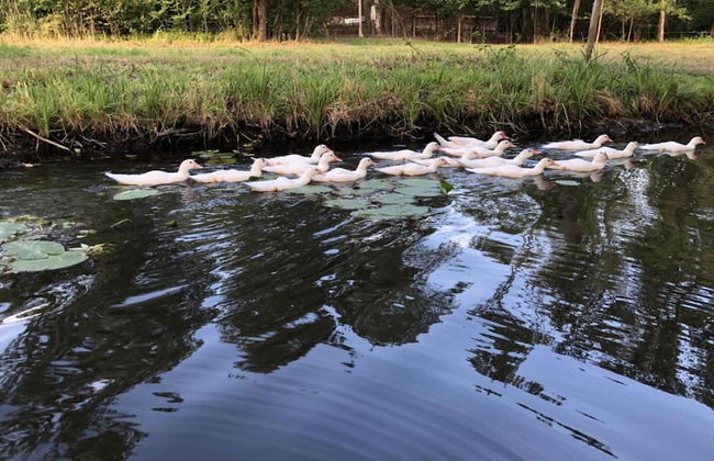 Ferienhaus in Brandenburg - Foto 40
