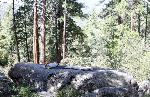 Luxury Camping Cabin with an Indoor Fireplace in Idyllwild, California - Foto 14