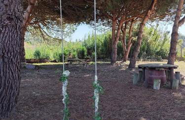 Casa do Lagar - Foto 56