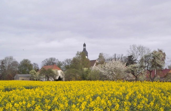Schone Ferienwohnung mit Terrasse in Boddin - Foto 28