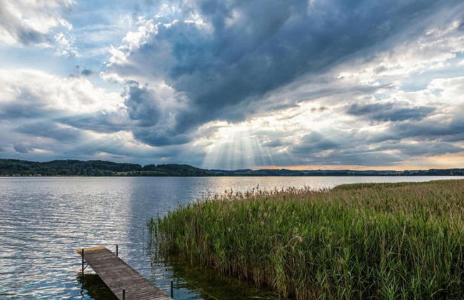 Eco-friendly Chalet Near the Lake in Asten - Photo 66