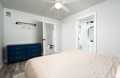 Cacti - Cactyou - Cactus - Foto 19