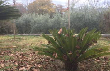 Casa Calicanto - Foto 30