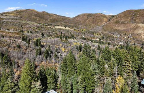 Beartooth Lodge with Hot Tub and Stuart Falls Views - Foto 17