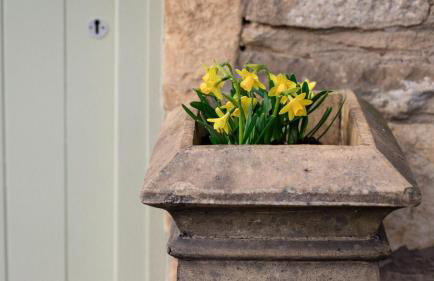 Hope Cottage - Foto 20