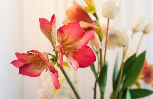 Queen Fabiola Villa, spacius home with private Pool in east Malaga - Photo 79