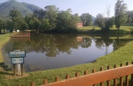 Alpine Joy-Hot Tub, Pond Access ,Cozy Cabin Retreat in the Smokies - Foto 39