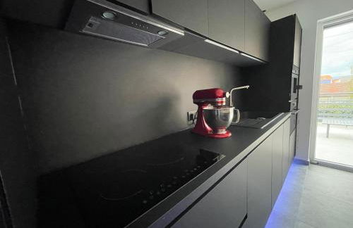 Colmar Appartement terrasse 10min centre ville - Foto 16