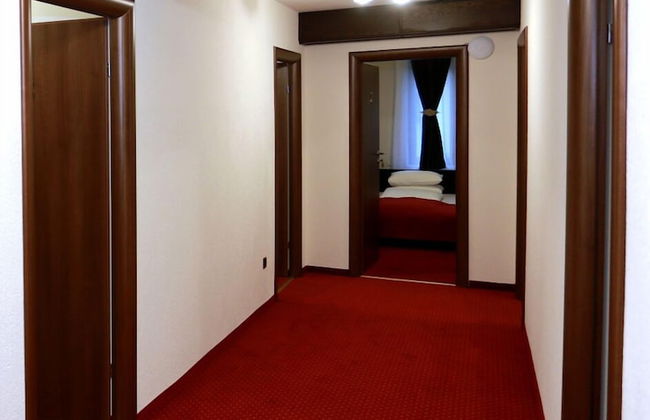 Pensiunea Elemar - Foto 27