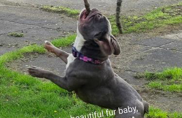 8 Berth Caravan at Blue Dolphin East coast - Photo 66