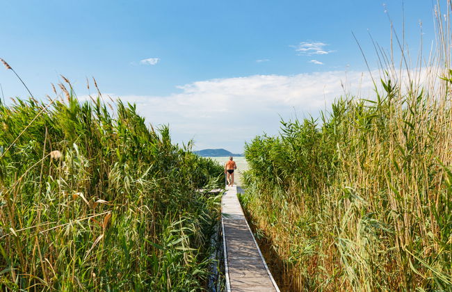 4 bedroom House in Balatonfenyves with garden and terrace - Photo 17