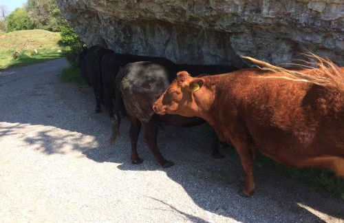 Carr’s cottage Eyam Peak District, - Photo 38