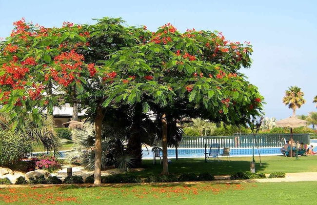 VenAVera C10A - Ground floor Garden 3Bedrooms/2Baths Beachfront, WIFI - Foto 17