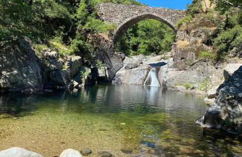 Le Mas Vivarés - Foto 44