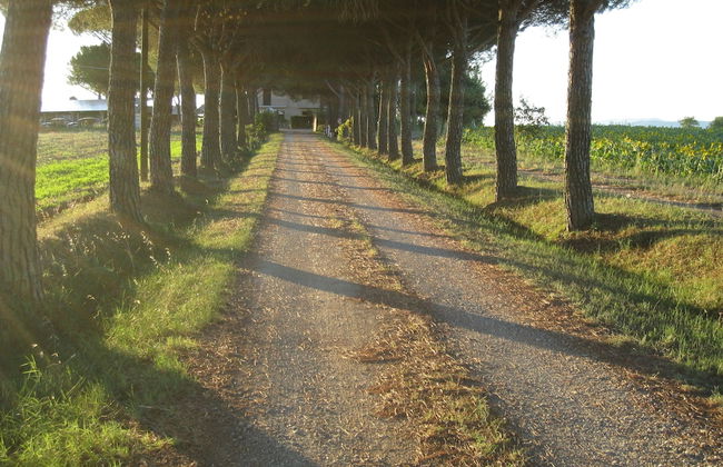 Boschetto del Lago - Photo 53