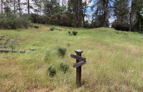 Romantic Forest Lovers Nest by Casa Oso - Foto 34