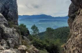 MAIN SQUARE Apartments - Photo 53