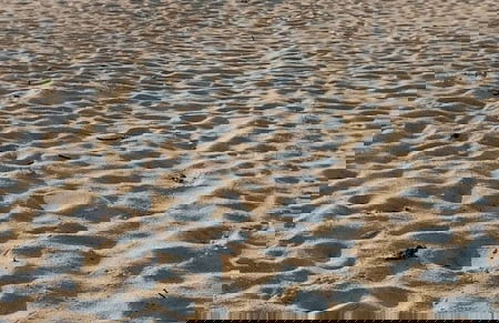 Cirpan Apart Otel - Photo 44