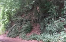 Ferienwohnungen "am Fürstenweg" - Foto 10