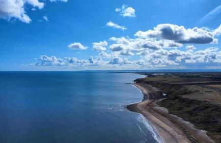 Sooty Beach - Photo 23