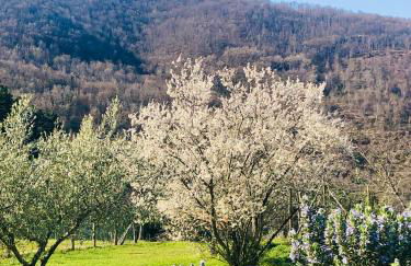 Resort con vista nel Chianti Rufina - Foto 36